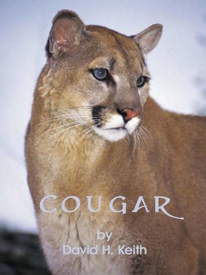 cover image of Cougar